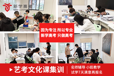 艺术生文化课培训价格解析与文化辅导的价值