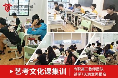 乐山艺术生文化课补习如何选择？文化艺术辅导性价比之选